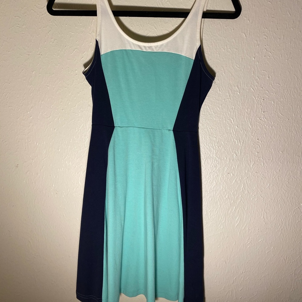 Express fit and flare colorblock dress